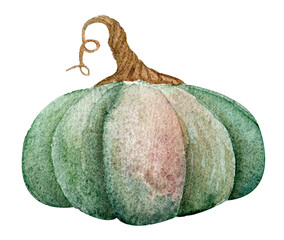 Watercolor pumpkin - 538172785