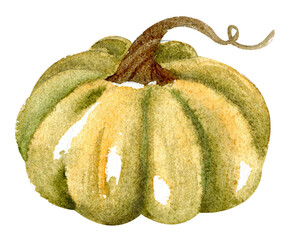 Watercolor pumpkin - 538172970