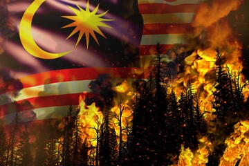 Forest fire natural disaster concept - burning fire in the trees on Malaysia flag background - 3D illustration of nature