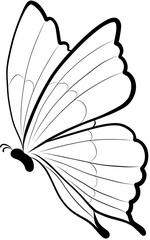 butterfly, vector illustration isolated on white background, hand drawing