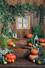 Photo area for Halloween with festive attributes. Pumpkins on Rustic Wooden Table With decor and green plants