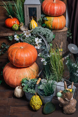 Photo area for Halloween with festive attributes. Pumpkins on Rustic Wooden Table With decor and green plants