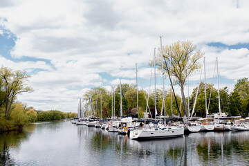 Fototapeta na wymiar View of marina with yachts with masts on a cloudy day. Boats docked near tree area