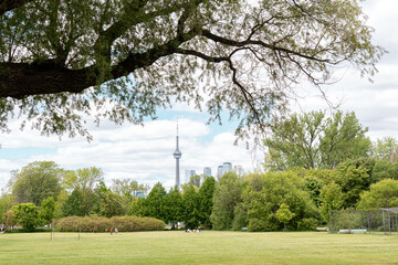 Obraz premium Toronto skyline with modern tall financial buildings in the background. Resting in the park