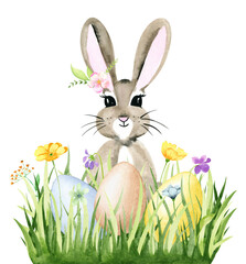 Watercolor easter bunny with eggs on grass, isolated on transparent background 