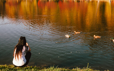 Back view of young woman feeding ducks while sitting by the lake during sunny weather in autumn