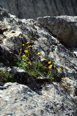 El Torcal de Antequera, paisaje kárstico en un paraje natural patrimonio mundial de la UNESCO.