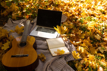 guitar on yellow leaves and laptop