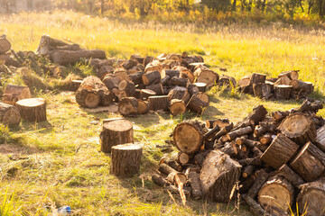 Firewood cut by wood chopping