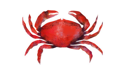 Red Crab illustration