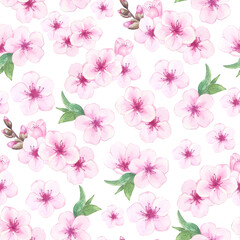 Fototapeta premium Watercolor almond or cherry blossoms in seamless pattern. Illustration of blooming pink sakura. Background with hand drawn flowers for packaging, web, card and label.
