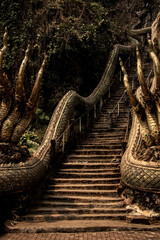 Entrance to the Monkey temple, Chiang Rai, Thailand