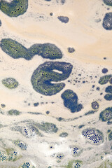 Vertical image of the polluted seawater