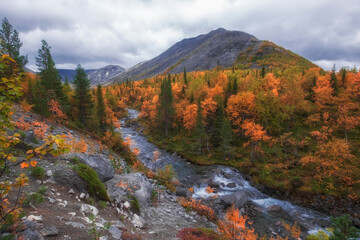 Beautiful autumn landscape in mountains, river and colorful forest
