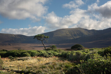 Impressive landscape of the vast and remote peatlands at the edge of Wild Nephin National Park, co. Mayo, Ireland.