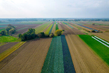 Kolorowe pola uprawne widziane z góry, rolniczy krajobraz polskiej wsi.  - obrazy, fototapety, plakaty
