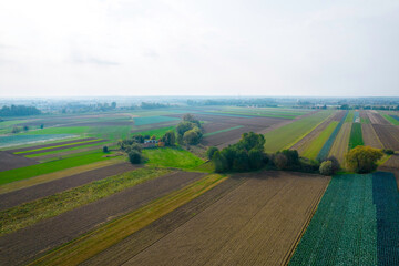 Kolorowe pola uprawne widziane z góry, rolniczy krajobraz polskiej wsi.  - obrazy, fototapety, plakaty