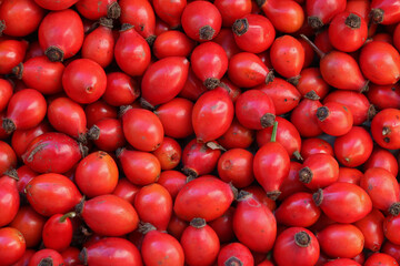 Rose hips gathered in a heap