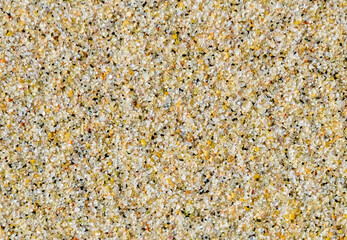 Beach grains sand surface texture. Background. Top view close-up.