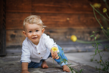 one year old happy blond baby boy in white shirt sitting outside on the ground infront of a rustic wooden hut and holding a yellow marguerite flower to send love and happiness - obrazy, fototapety, plakaty