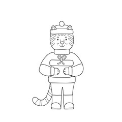 Cartoon tiger in winter clothes with a gift in his paws. Kids coloring page, black lines sketch