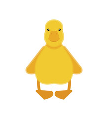 Duckling isolated. little duck Vector illustration