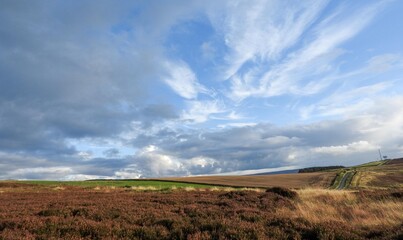 A road through the moors in the Yorkshire Dales