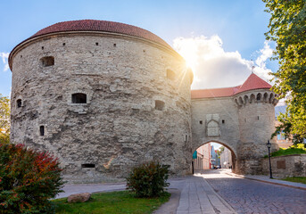 Fat Margaret tower in Tallinn, Estonia - obrazy, fototapety, plakaty