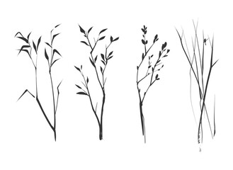 A set of vector branches with leaves drawn in ink. A bird on a branch. Vector set of silhouettes of branches