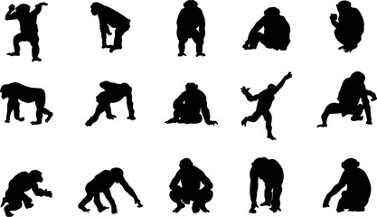 A vector silhouette collection of chimpanzee's for artwork compositions.