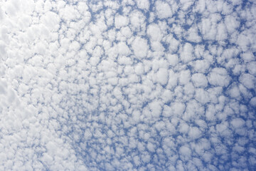White fluffy clouds on a summer blue sky in cartoon style for background or wallpaper design. The background is white of round clouds in a blue sky.
