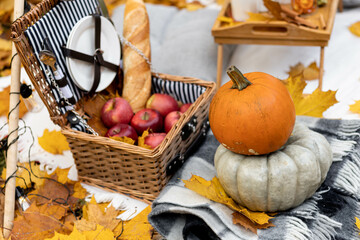 Cozy composition of autumn picnic outdoors. Rustic decor with orange pumpkin, wooden basket, plaid, delicious food. Fall vibes