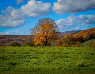 Autumn Mountain Views From North Bennington Vermont 10.14.22