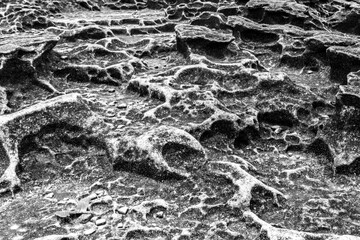 Stone rock texture in Bako National park 