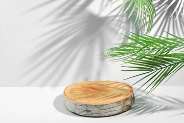 Minimal abstract background for the presentation of cosmetic products. Premium empty podium with wooden birch saw cut and tropical leaves shadows, eco template for design, podium pedestal