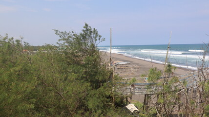 sand dunes and grass on beach