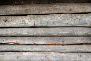 Obraz na płótnie Canvas Natural wood round logs wall background, concept