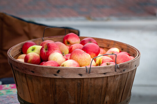 Apples In A Bushel Basket