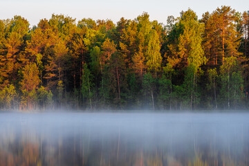 Beautiful landscape with forest reflecting in lake with fog.