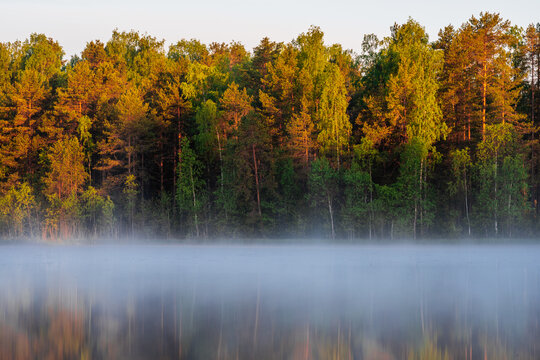 Beautiful landscape with forest reflecting in lake with fog. © Maria