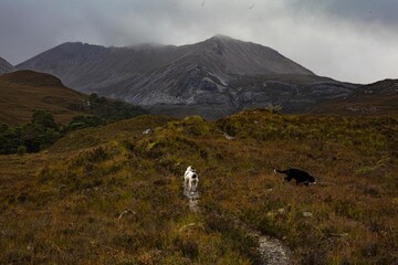 landscape with clouds