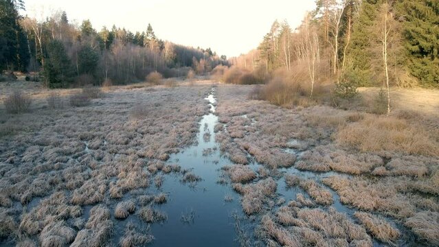 Flug &uuml;ber frostig-kalte Moor- und Sumpflandschaft im Winter
