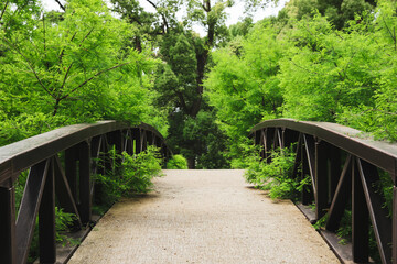 Picturesque view of bridge in beautiful green park