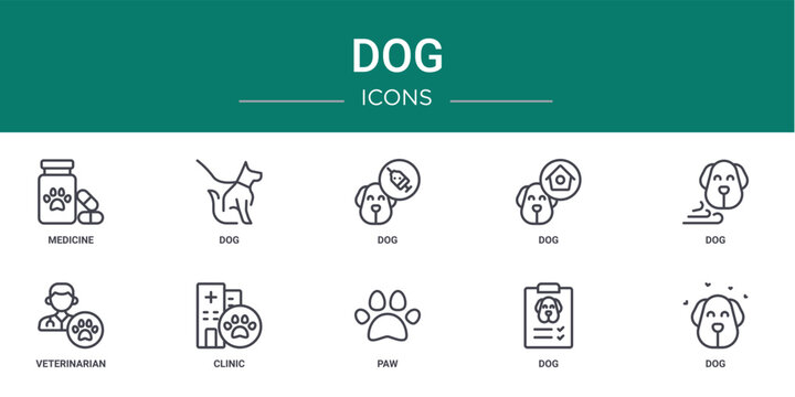 Set Of 10 Outline Web Dog Icons Such As Medicine, Dog, Dog, Veterinarian, Clinic Vector Icons For Report, Presentation, Diagram, Web Design, Mobile App