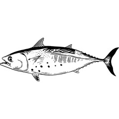 Hand drawn Tuna Fish Sketch Illustration