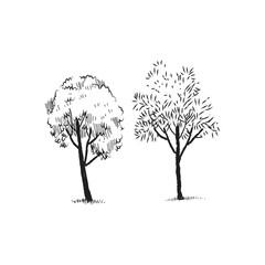 Set of trees sketch hand drawing silhouette black and white vector illustration.