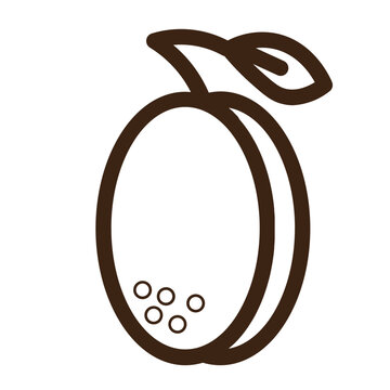 recommend clip art: apricot fruit green healthy leaves nature vegetable outline icon