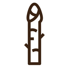 asparagus food green vegetable vegetarian outline icon