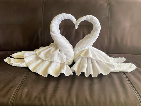 Swan Towel Art