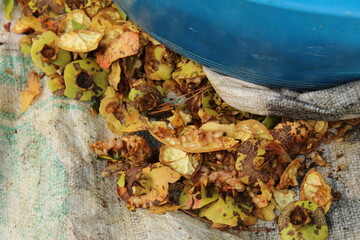 Pomegranate and its pieces around. Thick syrup making process